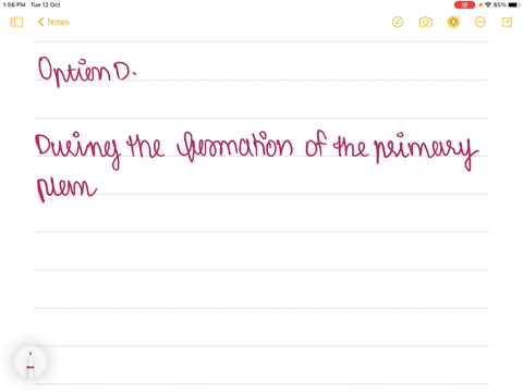 during-the-formation-of-the-primary-plant-body-the-specific-regions-of-the-apical-meristem-produces-