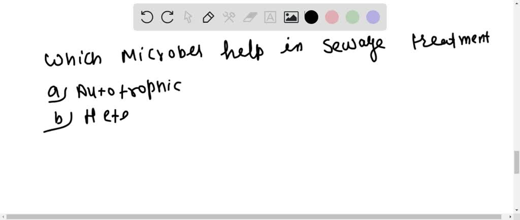 SOLVED Which Microbes Help In Sewage Treatment a Autotrophic b 