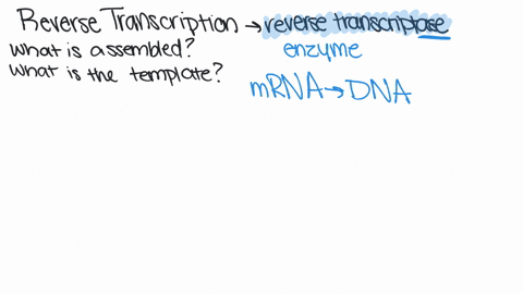 by-reverse-transcription-_____-is-assembled-on-an-_____-template-a-mrna-dna-b-cdna-mrna-c-dna-ribo-2