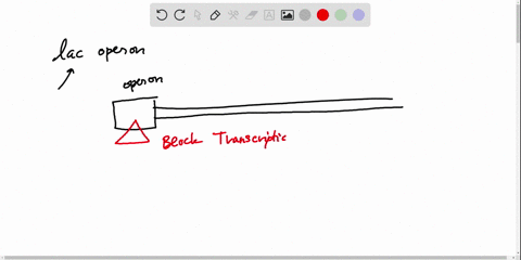 what-would-happen-if-the-operator-sequence-of-the-lac-operon-contained-a-mutation-that-prevented-the