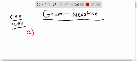 gram-negative-bacteria-a-appear-blue-to-purple-following-gram-staining-b-are-the-most-abundant-of-th