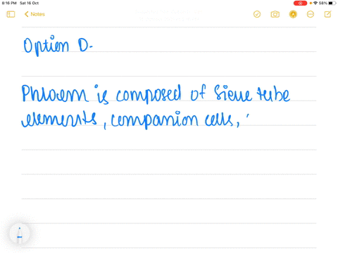 phloem-is-composed-of-all-except-a-sieve-tube-elements-b-companion-cells-c-phloem-parenchyma-and-scl