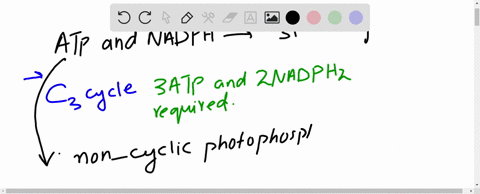 how-many-atp-and-nadph-molecules-are-required-in-the-mathrmc_3-pathway-to-make-one-six-carbon-suga-2