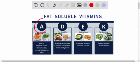 fat-soluble-vitamins-include-vitamins-________-a-mathrma-mathrmd-and-mathrmb-b-mathrmb-and-mathrmc-c