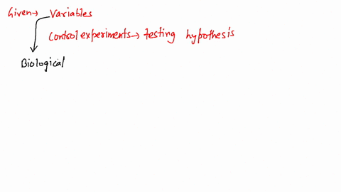 what-are-variables-how-are-control-experiments-used-in-testing-hypotheses