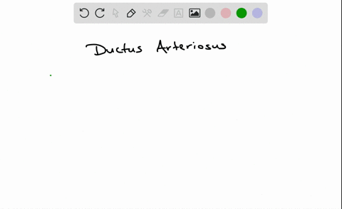 in-the-fetus-the-ductus-arteriosus-carries-blood-from-a-the-pulmonary-artery-to-the-pulmonary-vein-b
