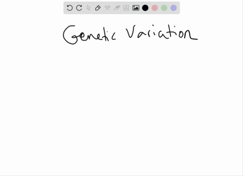 ___-is-the-original-source-of-new-alleles-a-mutation-b-natural-selection-c-genetic-drift-d-gene-flow