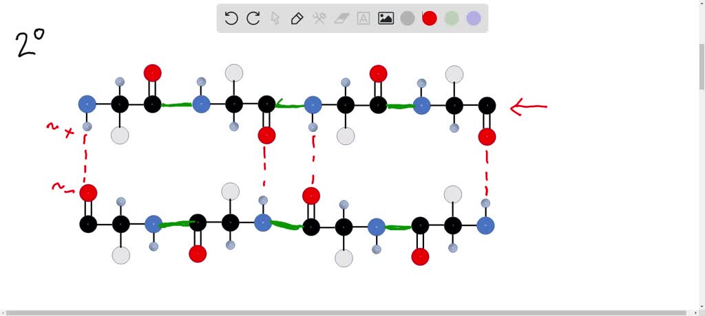 The structural level of a protein least affected by a disruption in