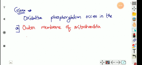 oxidative-phosphorylation-occurs-in-the-a-outer-membrane-of-mitochondria-b-inner-membrane-of-mitocho