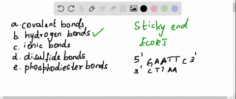 dna-molecules-with-complementary-sticky-ends-associate-by-a-covalent-bonds-b-hydrogen-bonds-c-ioni-5