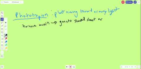 explain-how-plants-grow-toward-light-why-is-this-response-adaptive-2