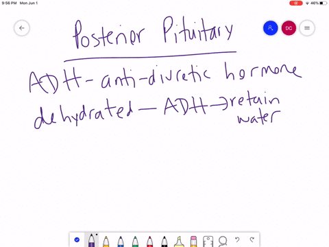 how-would-damage-to-the-posterior-pituitary-gland-affect-the-production-and-release-of-adh-and-inhib
