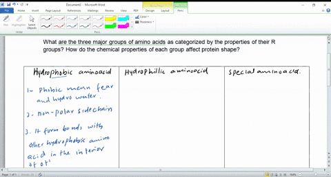 what-are-the-three-major-groups-of-amino-acids-as-categorized-by-the-properties-of-their-r-groups-ho