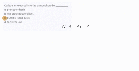 carbon-is-released-into-the-atmosphere-by-__________-a-photosynthesis-b-the-greenhouse-effect-c-burn