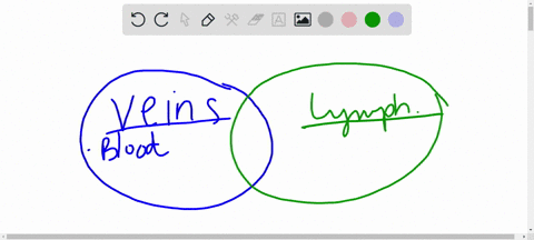 in-what-way-do-veins-and-lymphatic-vessels-resemble-one-another-how-are-they-different