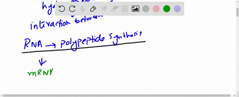 suppose-you-were-to-construct-a-synthetic-rna-from-a-repeating-dinucleotide-eg-a-g-a-g-a-g-a-g-and-t