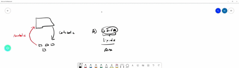 identify-each-of-the-following-as-catabolic-or-anabolic-a-synthesis-of-lipids-from-glycerol-and-fatt