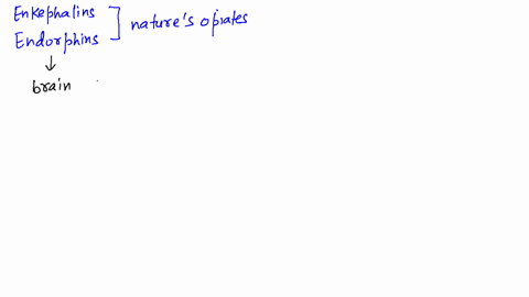 enkephalins-and-endorphins-are-referred-to-as-natures-opiates-explain-this-saying