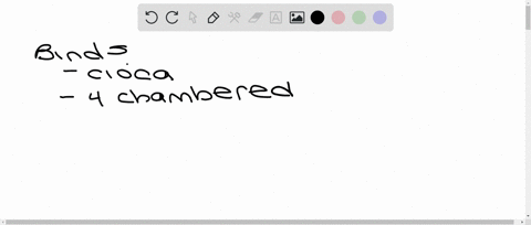 only-birds-have-___________-a-a-cloaca-c-feathers-b-a-four-chambered-heart-dall-of-the-above