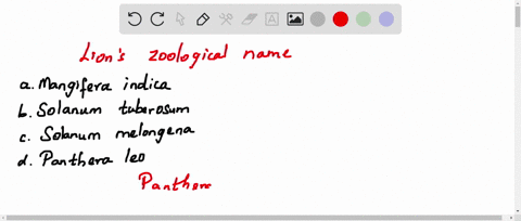 zoological-name-of-lion-is-a-mangifera-indica-b-solanum-tuberosum-c-solanum-melongena-d-panthera-leo