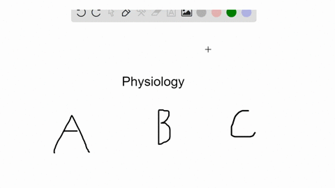 beginarrayltext-a-hydra-text-b-grasshopper-text-c-earthworm-endarray-the-body-plan-is-a-polyp