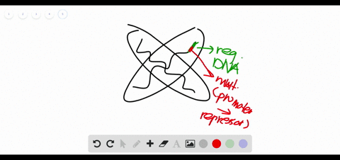 write-about-a-theme-information-the-continuity-of-life-is-based-on-heritable-information-in-the-fo-5
