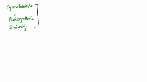 which-protists-have-photosynthetic-pigments-similar-to-those-of-the-cyanobacteria-a-golden-algae-b-d