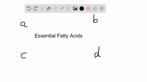 essential-fatty-acids-are-__________-a-trans-fats-c-vitamins-b-saturated-fats-d-not-made-by-the-body