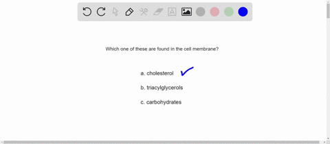 which-of-the-following-are-found-in-cell-membranes-a-cholesterol-b-triacylglycerols-c-carbohydrates