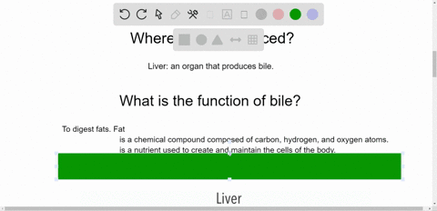 the-bile-from-the-liver-is-delivered-to-the-______-a-stomach-b-liver-c-small-intestine-d-colon
