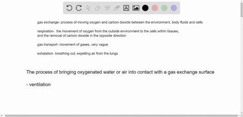 the-process-of-bringing-oxygenated-water-or-air-into-contact-with-a-gasexchange-surface-is-a-respira