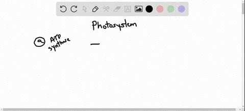 which-of-the-following-structures-is-not-a-component-of-a-photosystem-a-atp-synthase-b-antenna-molec