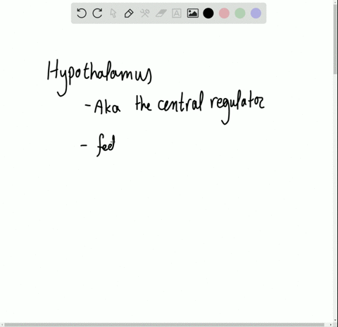the-hypothalamus-does-not-a-control-skeletal-muscles-b-regulate-thirst-c-control-the-pituitary-gland