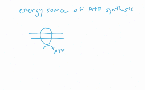 the-immediate-energy-source-that-drives-atp-synthesis-by-atp-synthase-during-oxidative-phosphoryla-2
