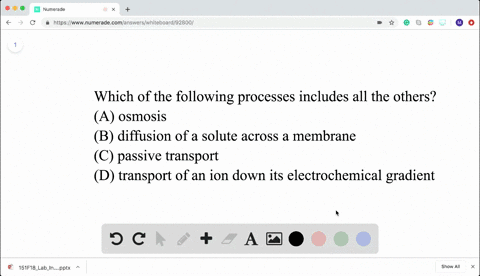 which-of-the-following-processes-includes-all-the-others-beginequationbeginarrayltext-a-osmosis-text