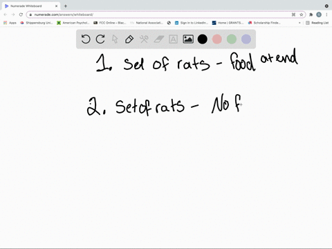 rats-were-carried-through-a-maze-without-any-opportunity-to-walk-around-or-explore-and-they-were-giv
