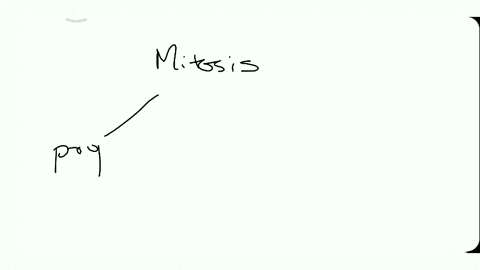 mitosis-is-further-divided-in-stages-of-cytoplasmic-division-a-1-b-2-c-3-d-none-of-these