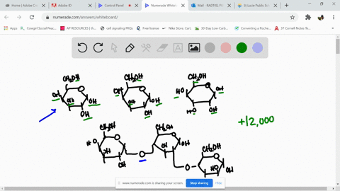 how-many-different-oligosaccharides-can-be-made-by-linking-one-glucose-one-mannose-and-one-galacto-2