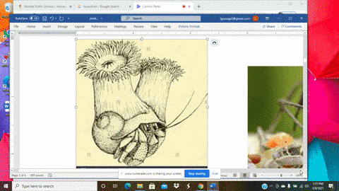 in-which-type-of-symbiosis-do-both-members-benefit-from-their-interaction-a-mutualism-b-parasitism-c