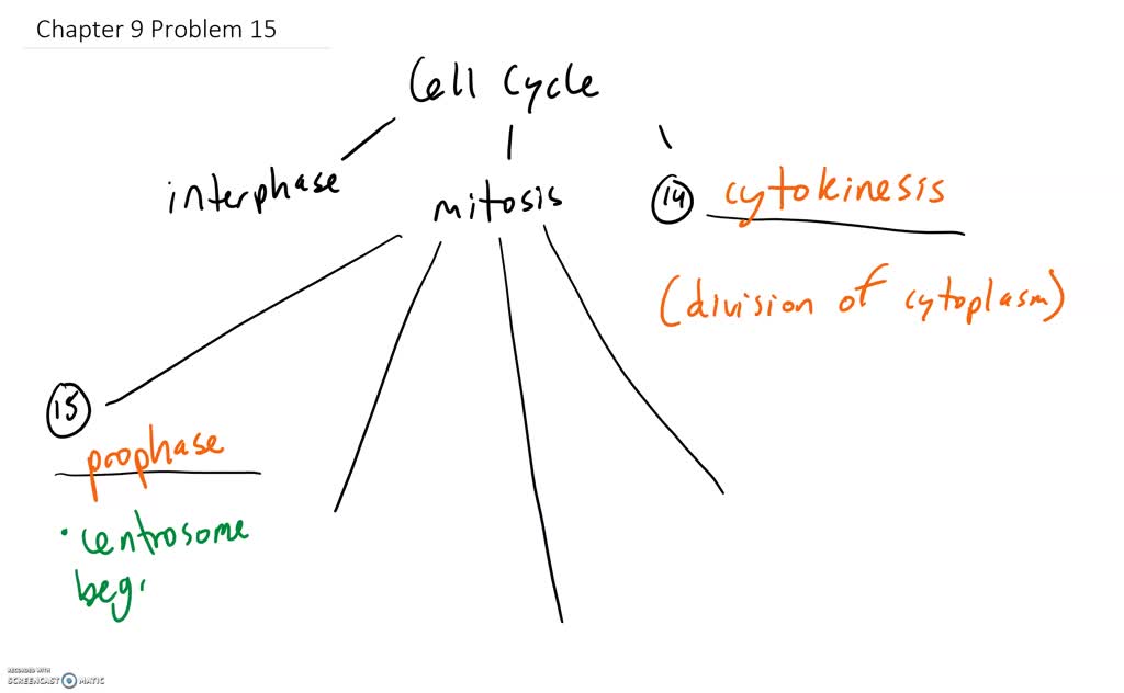 Concept Map Complete the concept map by using the following vocabulary ...