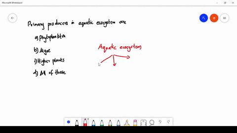 primary-producers-in-aquatic-ecosystem-are-a-phytoplankton-b-algae-c-higher-plant-d-all-of-these
