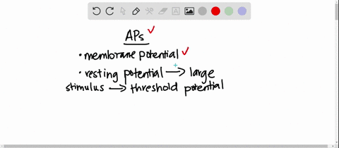action-potentials-occur-when-________-a-potassium-gates-close-b-a-stimulus-pushes-membrane-potential