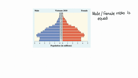 a-population-pyramid-is-a-helpful-graph-for-examining-the-distribution-of-a-countrys-population-he-2