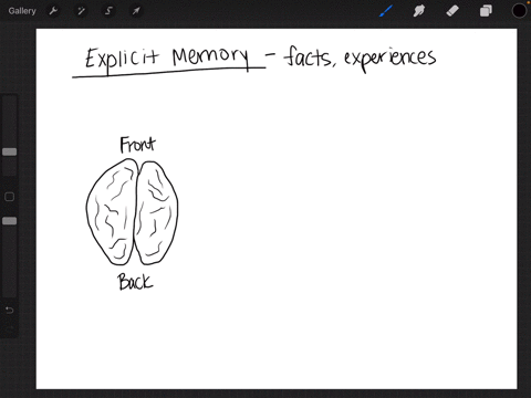 what-two-parts-of-the-brain-are-most-involved-in-explicit-memory-a-frontal-lobes-and-basal-ganglia-b