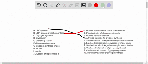 match-the-terms-on-the-left-with-the-descriptions-on-the-right-a-udp-glucose-______-b-udp-glucose-py