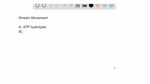 the-movements-of-single-motor-protein-molecules-can-be-analyzed-directly-using-polarized-laser-lig-2