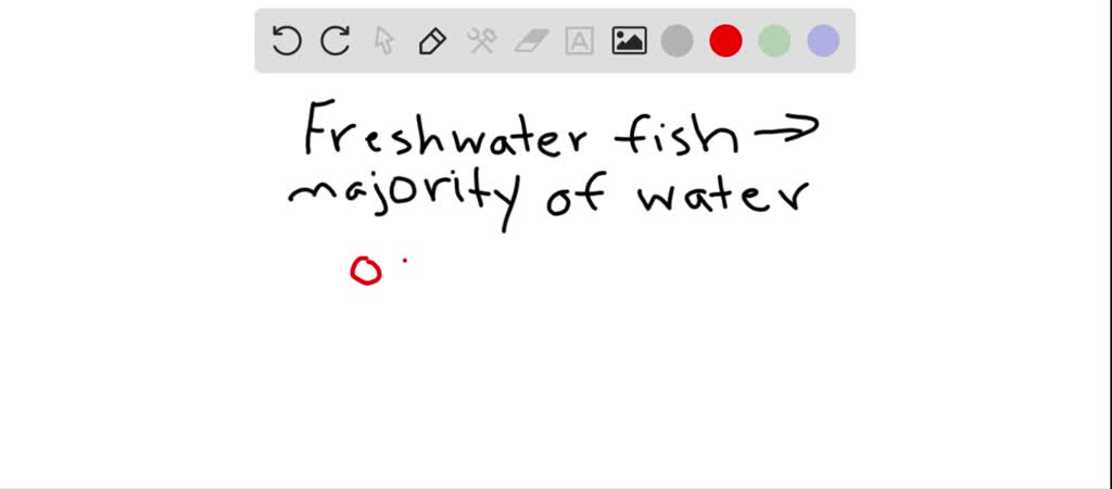 A freshwater fish gains most water by ______.
a. drinking
b. eating food
c. osmosis
d. transport across the gills