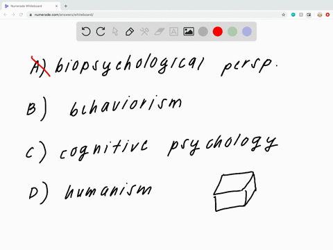 which-perspective-is-often-referred-to-as-the-third-force-in-psychology-and-focuses-on-a-persons-fre