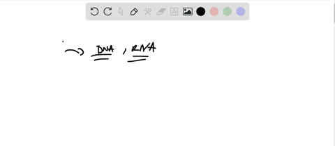 draw-and-name-the-five-principal-bases-used-in-dna-and-rna-be-specific-about-the-bases-used-in-dna-a