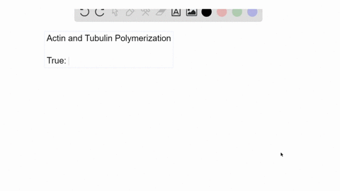 the-role-of-atp-hydrolysis-in-actin-polymerization-is-similar-to-the-role-of-gtp-hydrolysis-in-tub-2
